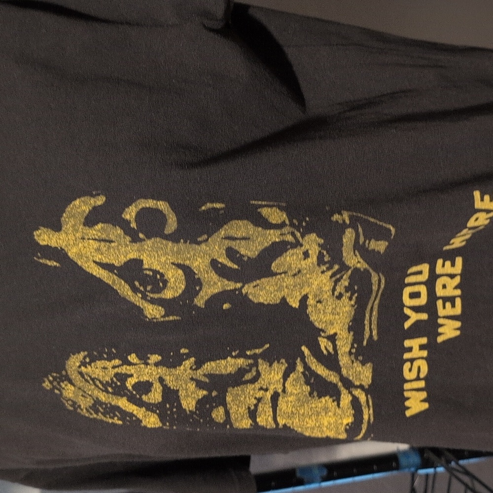 Imogene + Willie : the "two step" tee Medium - Picture 7 of 10